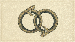 Two interlocking ouroboros snakes symbolizing the AI feedback loop threatening entry-level communications jobs.